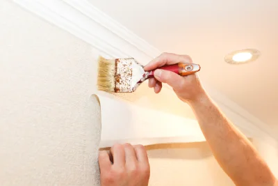 Pose de papier peint à Pégairolles-de-Buèges — revêtements muraux et toiles de verre